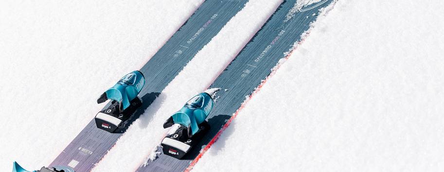 Горные лыжи